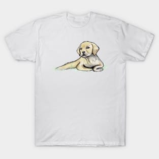 Labrador Retriever Puppy T-Shirt